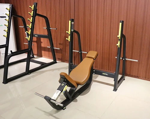 DHZ E-1042В Скамья-стойка для жима под углом вверх (Olympic Bench Incline) — фото 2