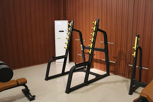DHZ E-1050В Стойка для приседаний с ограничителями (Squat Rack) — фото 2