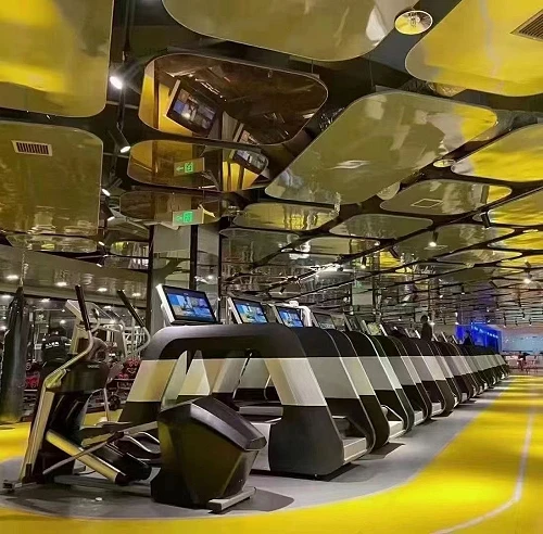 Профессиональная беговая дорожка DHZ X-8900PA — фото 5