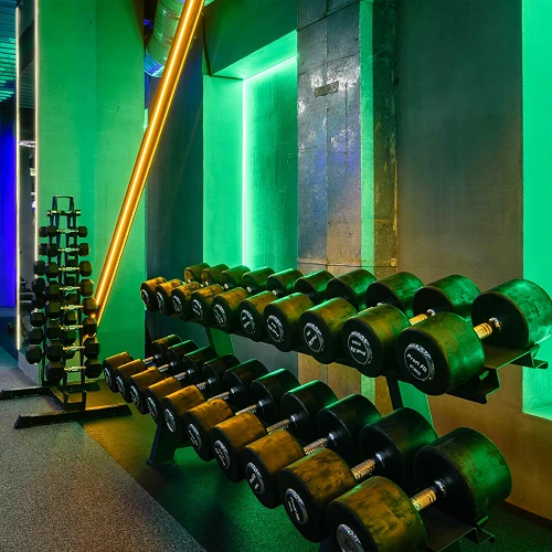Гантельный ряд профессиональный (шаг 2,5 кг, 5 пар) PROFI-FIT 27,5-37,5 кг — фото 4