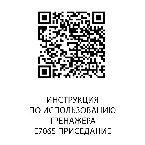 DHZ E7065 Приседание — фото 9