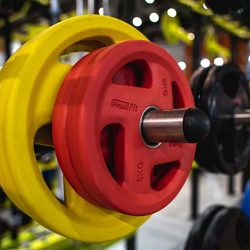 Диск обрезиненный (четыре хвата, цветной) D51 мм PROFI-FIT  5 кг — фото 2
