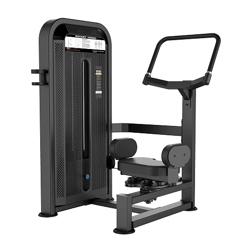 DHZ U3018D Вращение торса. Стек 64 кг